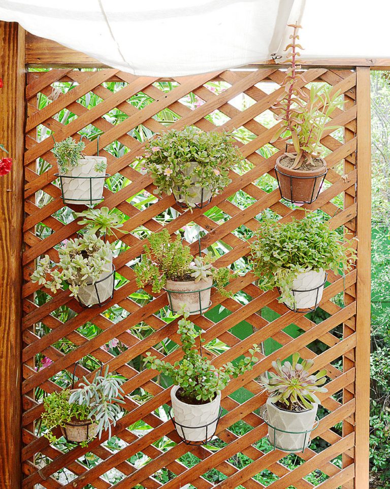 Treillage Enrejado de Madera 1×2 MT – MP – Mallapack.cl